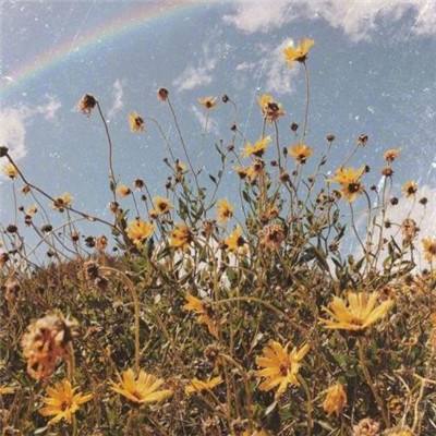 完美电竞平台下载手机版