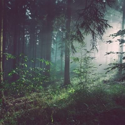 澳门新葡萄新京8883手机app下载